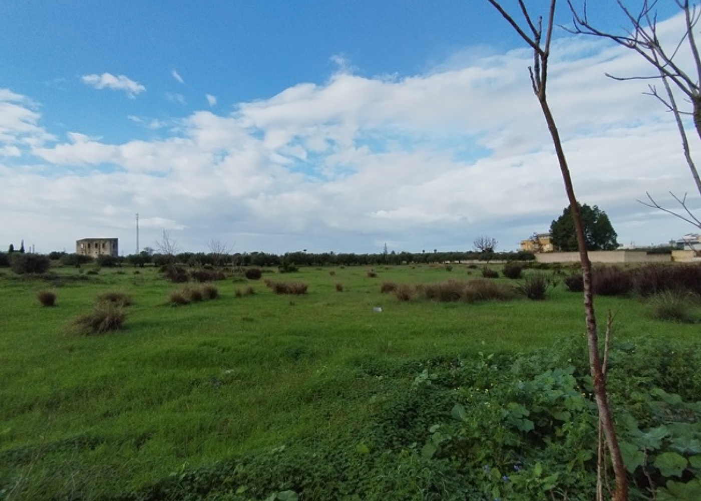 Via Marsala, 244, 91026, ,Terreno edificabile,In vendita,Via Marsala, 244,1576